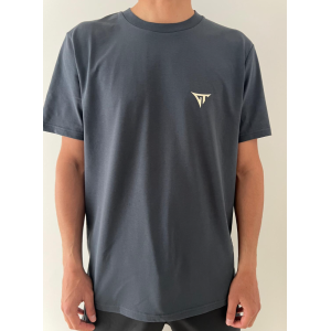GT BOARDS TEE FLASH INDIA INK GREY